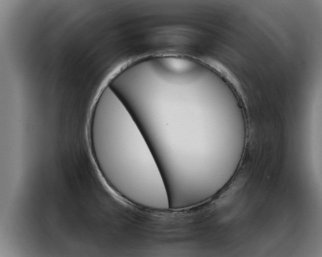 X0000088481429200705220952