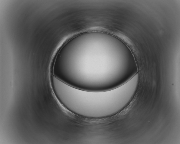X0000088481430200705220952