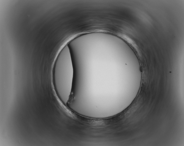 X0000088481431200705220952