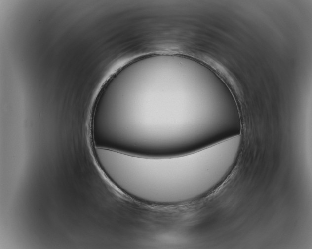 X0000088481432200705220952