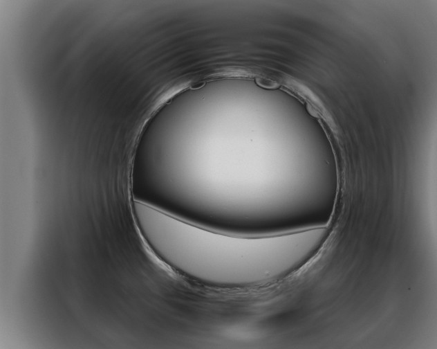 X0000088481433200705220952