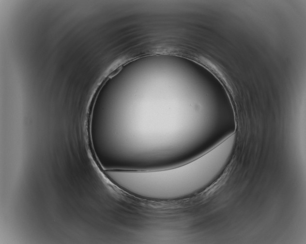 X0000088481434200705220952