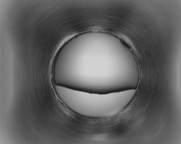 X0000088481435200705220952