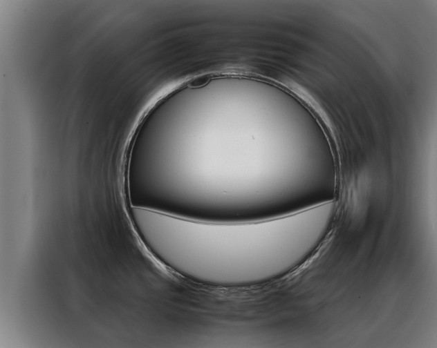 X0000088481437200705220952