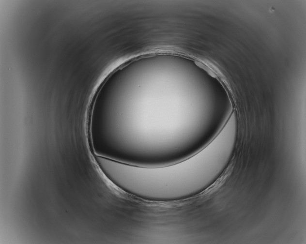 X0000088481438200705220952