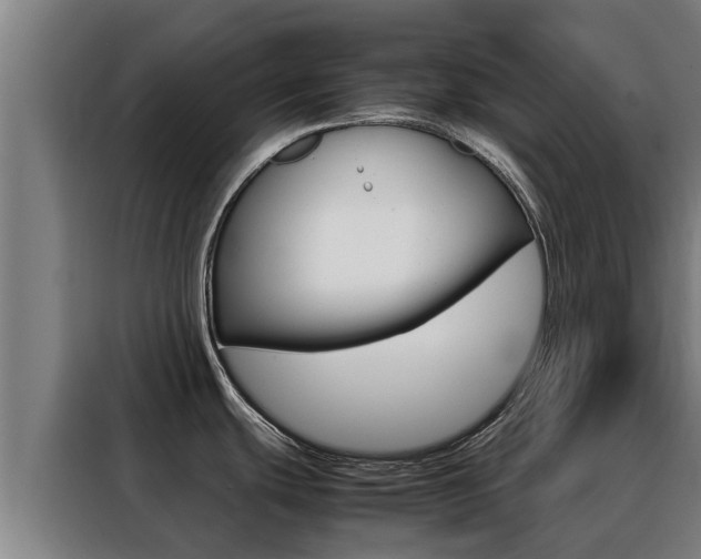 X0000088481439200705220952