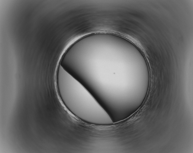 X0000088481440200705220952