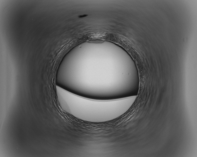 X0000088481441200705220951
