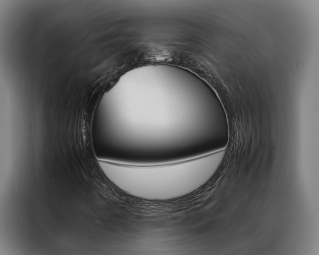 X0000088481442200705220951
