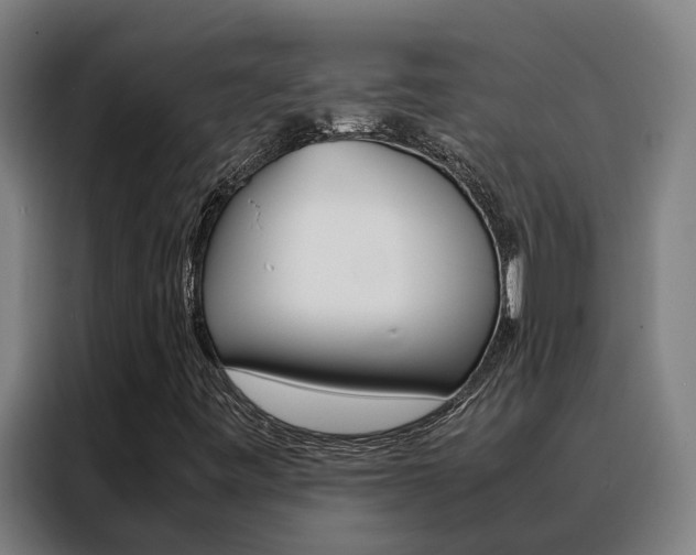 X0000088481443200705220951