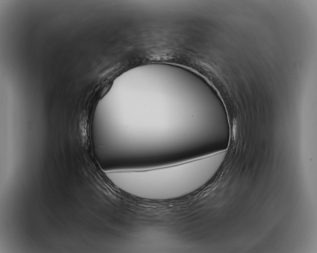 X0000088481444200705220951