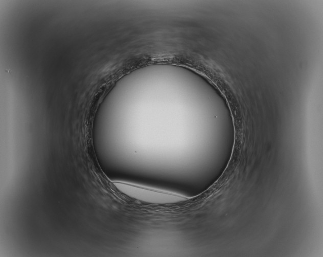 X0000088481445200705220951
