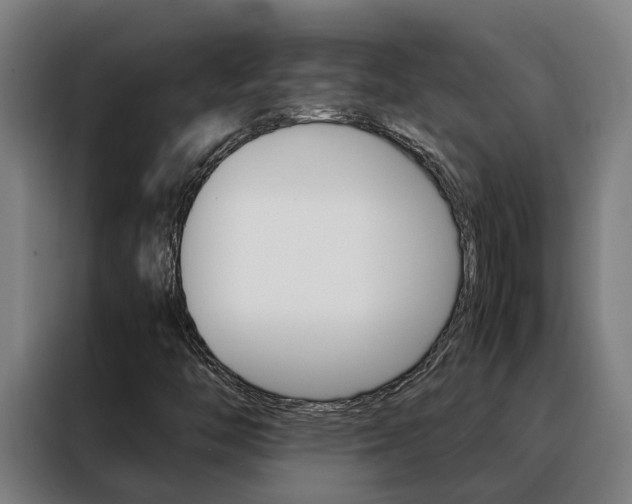 X0000088481446200705220951