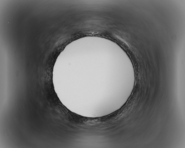 X0000088481447200705220951