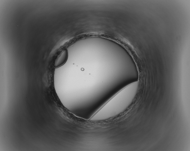 X0000088481448200705220951