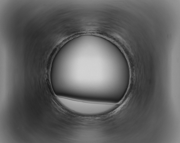 X0000088481449200705220951