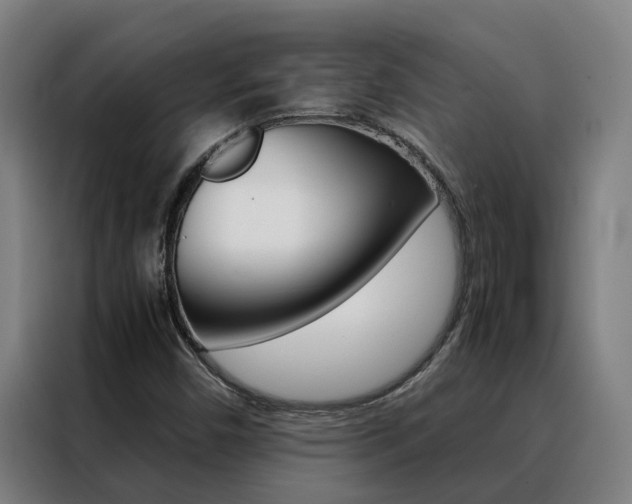 X0000088481450200705220951