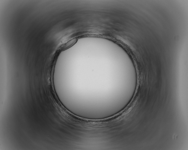 X0000088481451200705220951