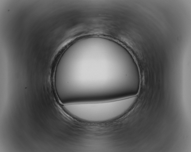 X0000088481452200705220951