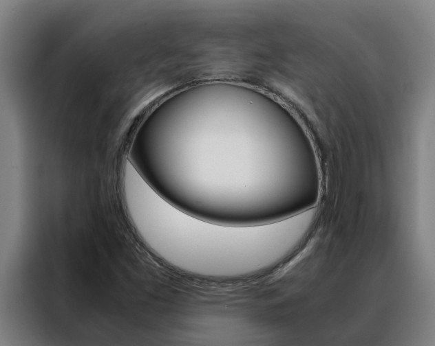 X0000088481453200705220951
