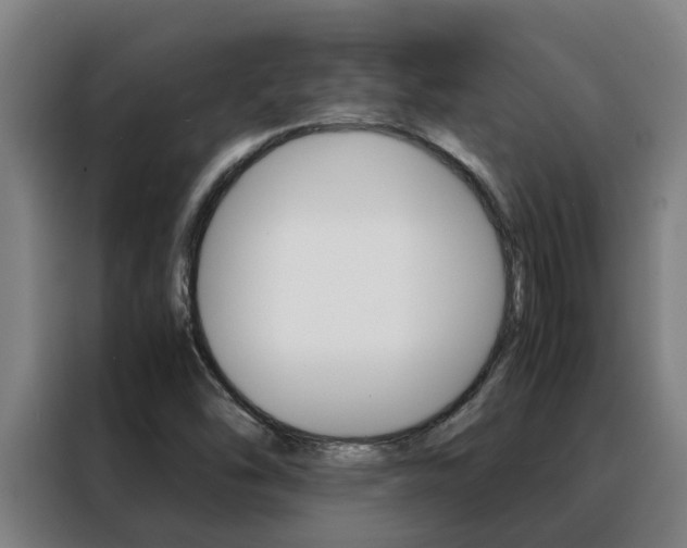 X0000088481454200705220951
