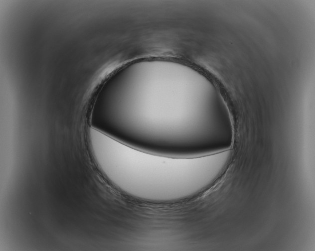 X0000088481455200705220951