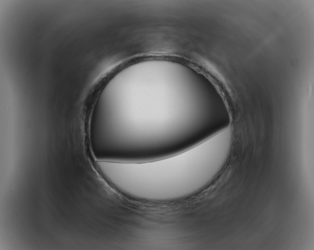 X0000088481456200705220951