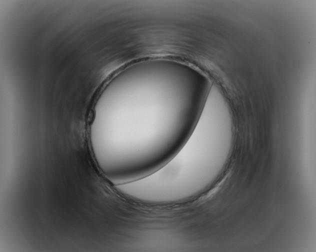 X0000088481457200705220951