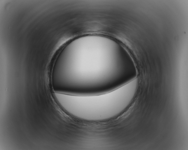 X0000088481458200705220951