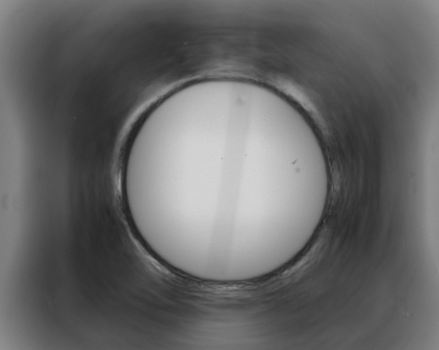 X0000088481462200705220951