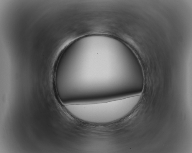 X0000088481463200705220951