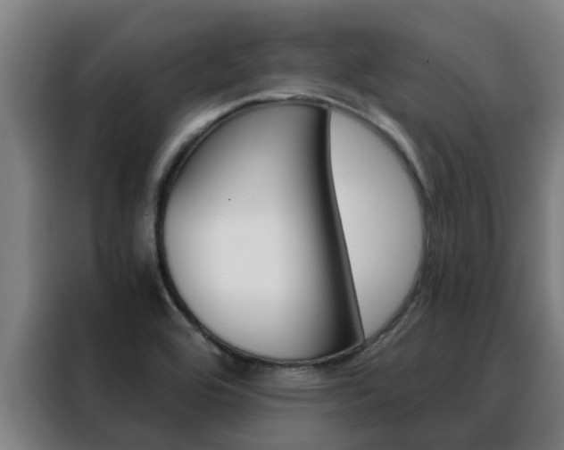 X0000088481464200705220951