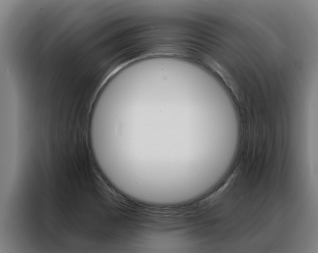 X0000088481465200705220951