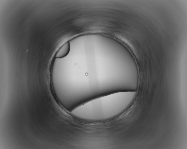 X0000088481467200705220951