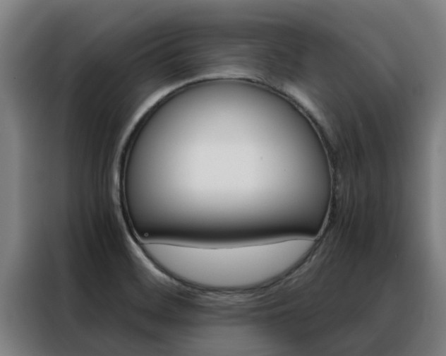 X0000088481468200705220951