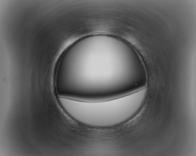 X0000088481469200705220951