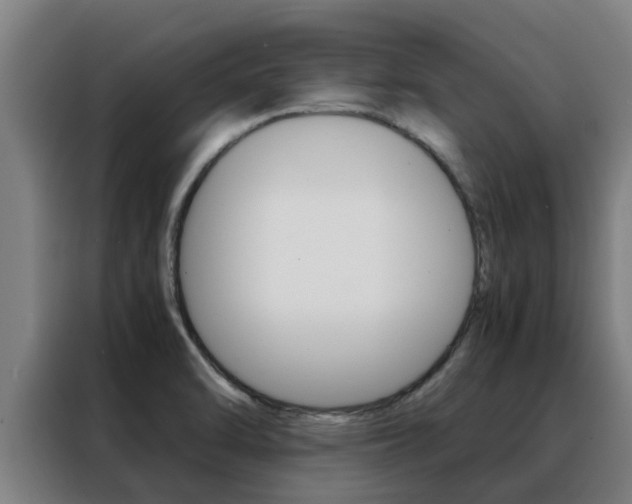 X0000088481470200705220951