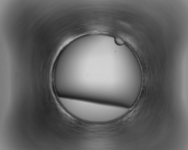 X0000088481471200705220951