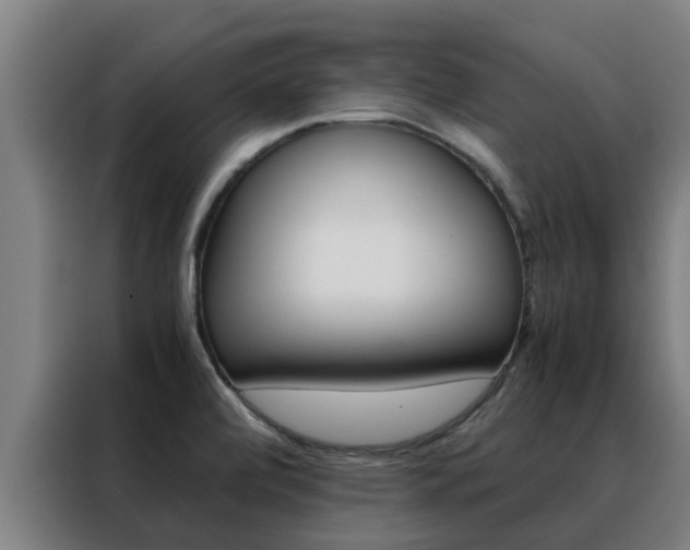 X0000088481472200705220951