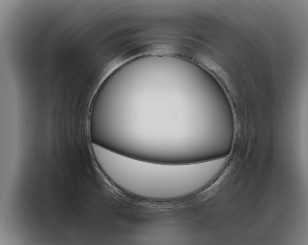 X0000088481473200705220951