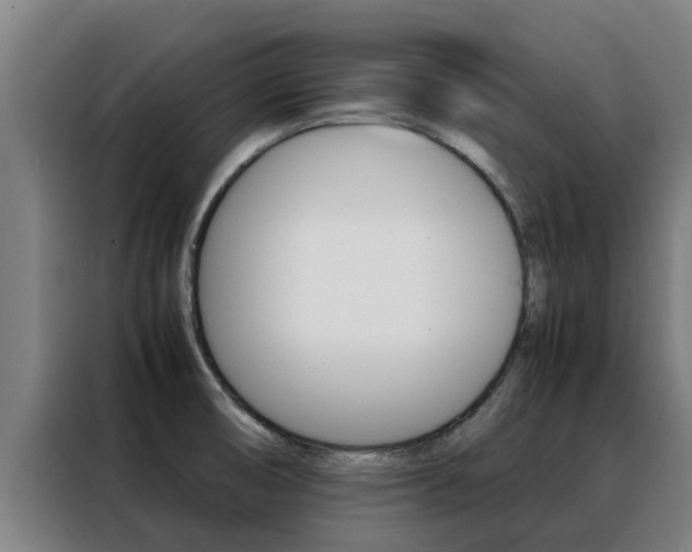 X0000088481474200705220951