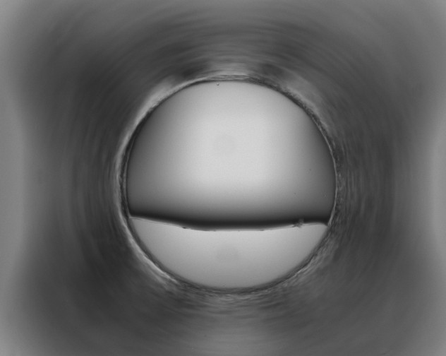 X0000088481475200705220951