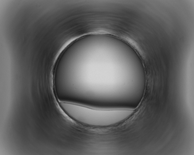 X0000088481476200705220951
