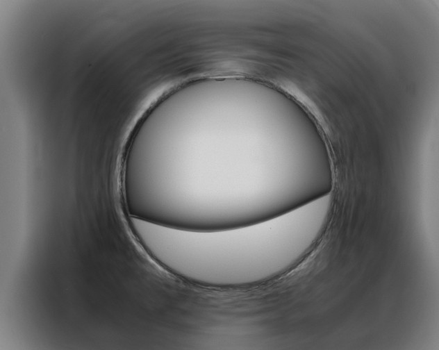 X0000088481477200705220951