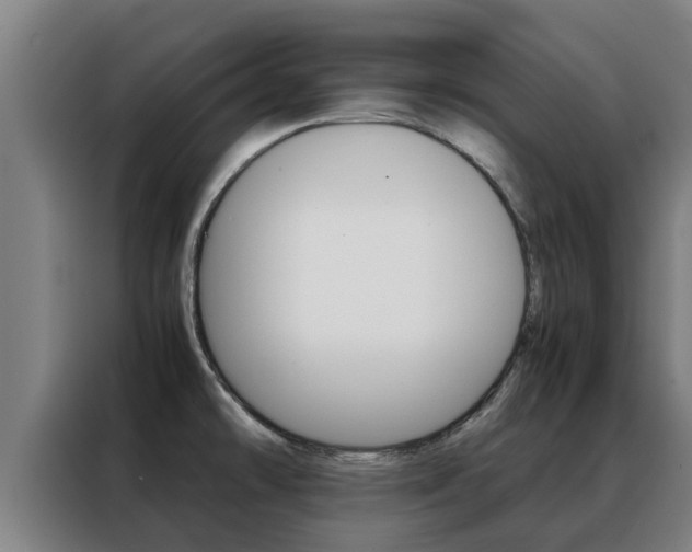 X0000088481478200705220951