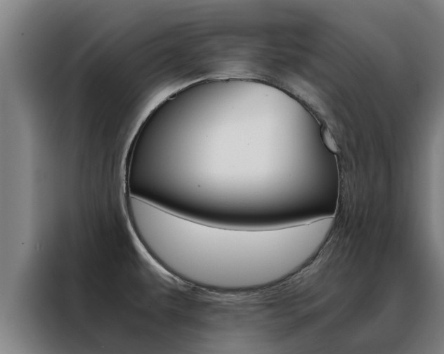 X0000088481479200705220951