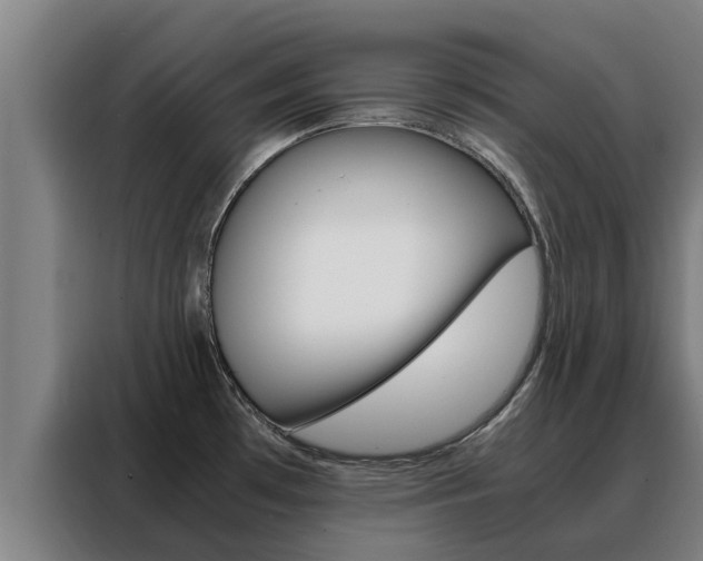 X0000088481481200705220951