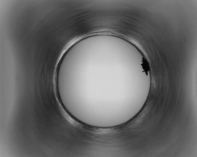 X0000088481482200705220951