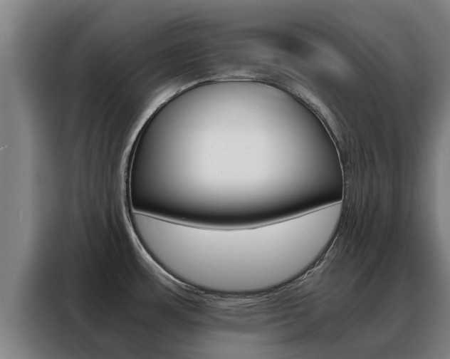 X0000088481483200705220951