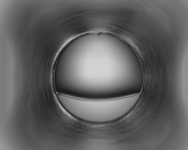 X0000088481484200705220951